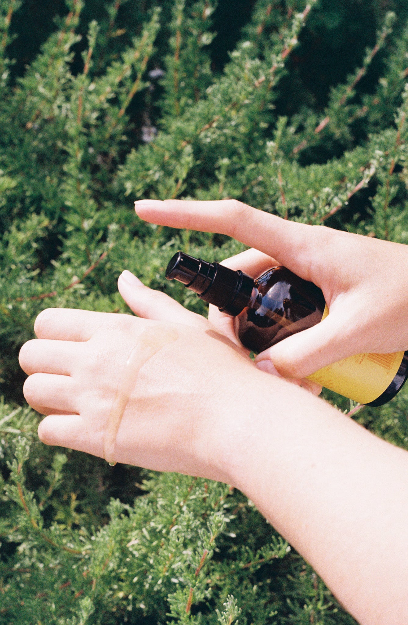 Ylang Ylang & Citrus Macadamia Body Oil - 100ml